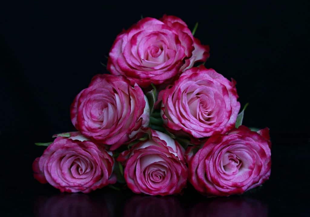 Six ways to reduce screen time